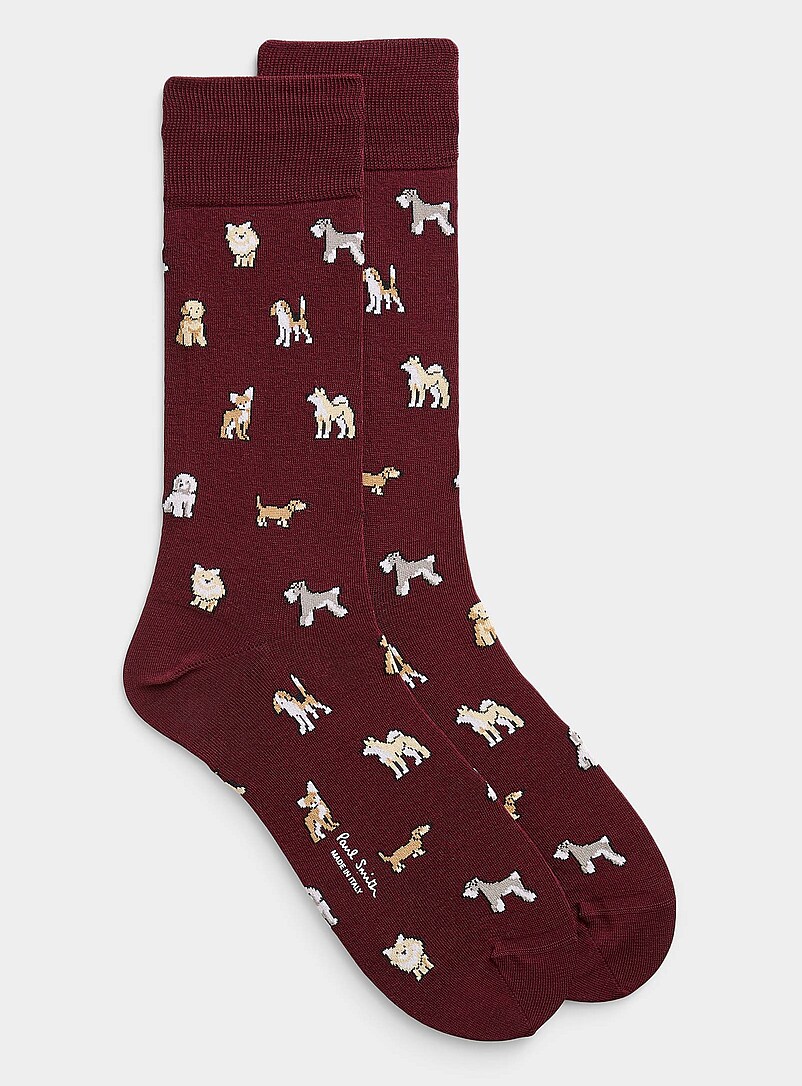 Mini-dog dress socks product image (primary)