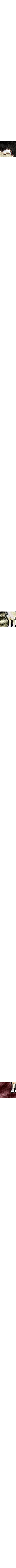 Noir à motifs
