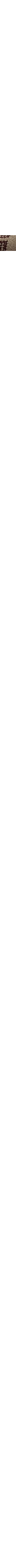 Patterned Ecru