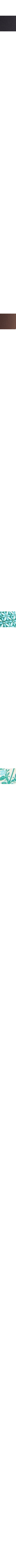 Patterned Green