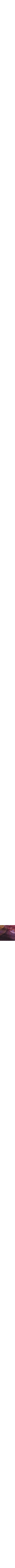 Pourpre à motifs