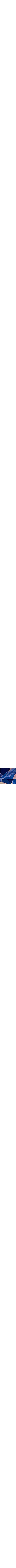 Patterned Blue
