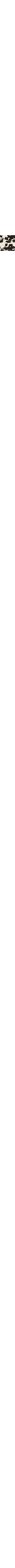 Écru à motifs