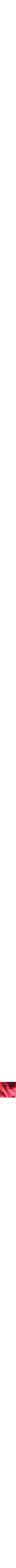 Rouge à motifs