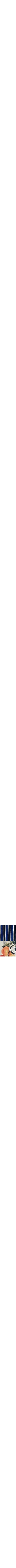 Pourpre à motifs