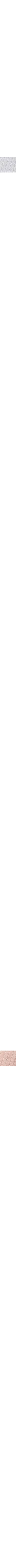 Rose pêche