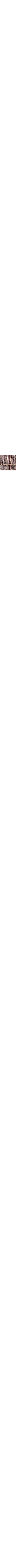 Brun à motifs