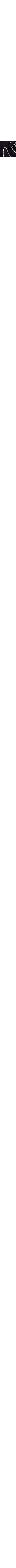Noir à motifs