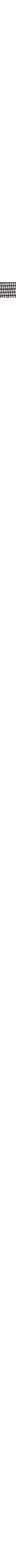 Blanc et noir