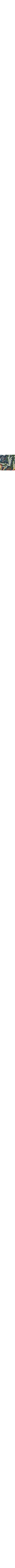Brun à motifs