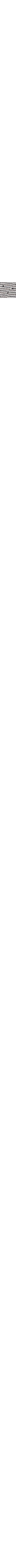 Blanc et noir
