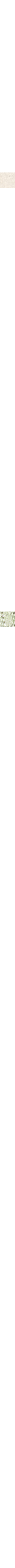 Vert à motifs