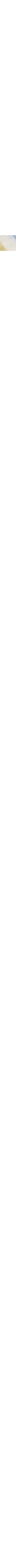Patterned Ecru