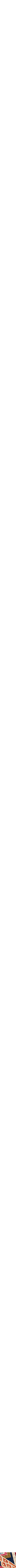 Assorti