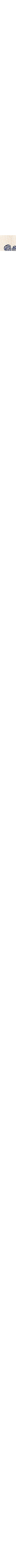 Écru à motifs