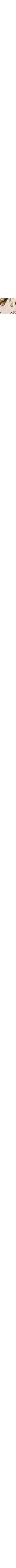 Blanc à motifs