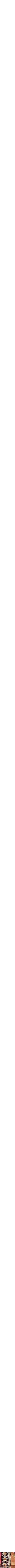 Assorti