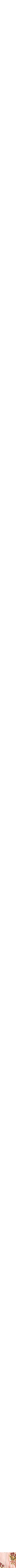 Assorti