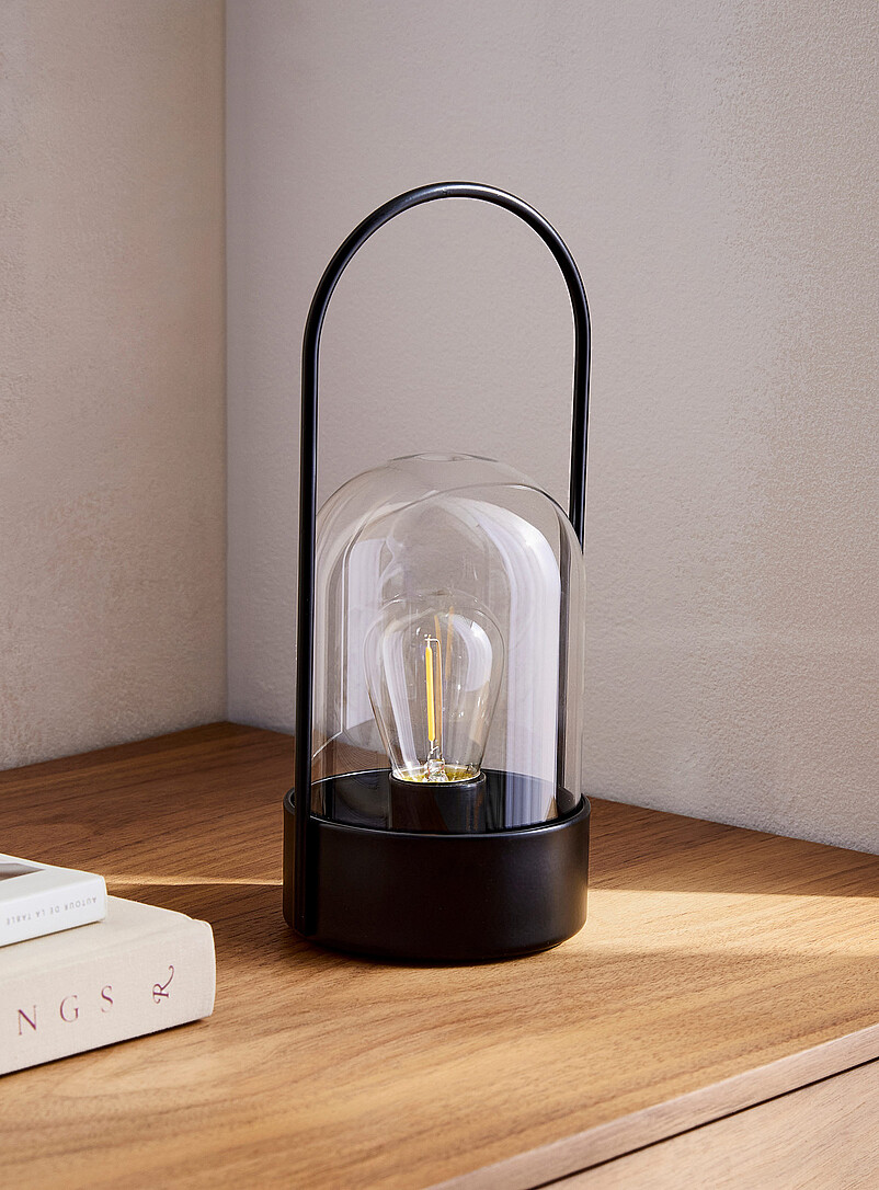Metal Frame And Glass Shade Lamp