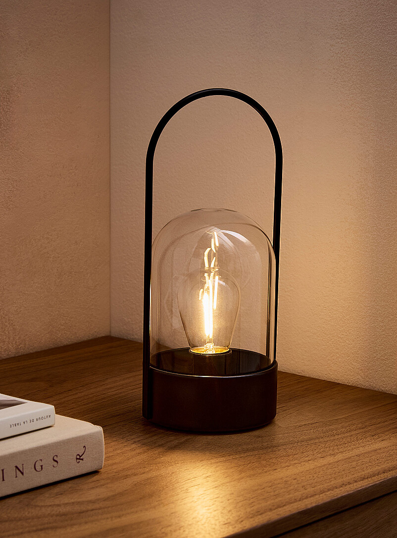 Metal frame and glass shade lamp product image 2