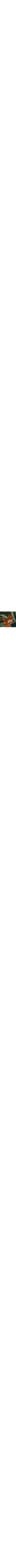 Vert à motifs