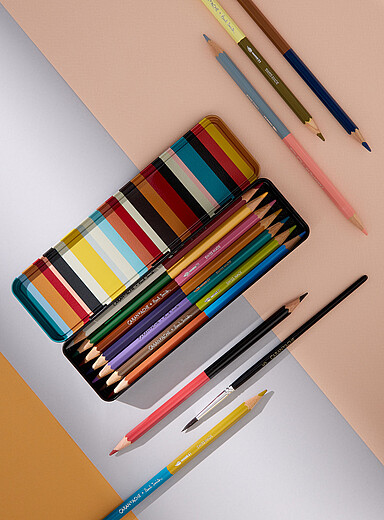 L'ensemble crayons bicolores et pinceau  Paul Smith Caran d'Ache + Paul Smith