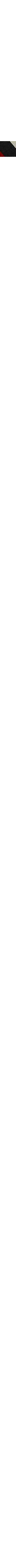 Noir à motifs