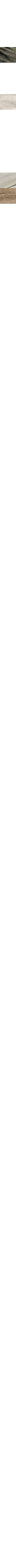 Blanc cassé