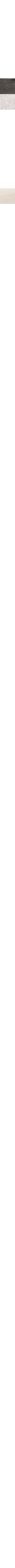 Slate Grey