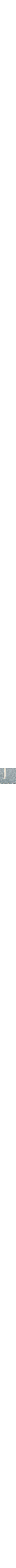 Bleu à motifs