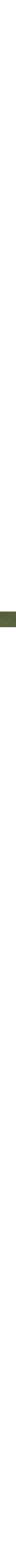 Vert à motifs