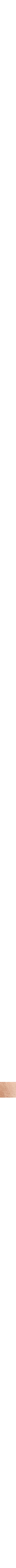 Rouge à motifs