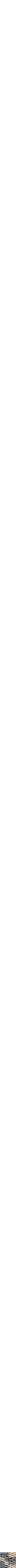 Assorti