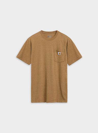 Carhartt Taupe Western skull print T-shirt for men