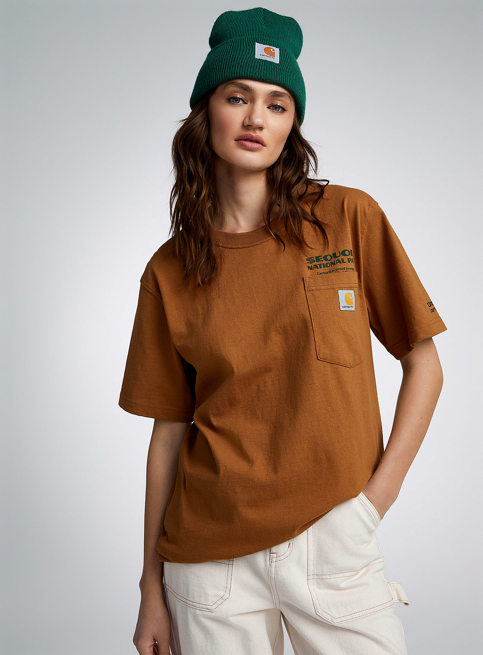 Carhartt Sequoia National Park T-shirt In Brown
