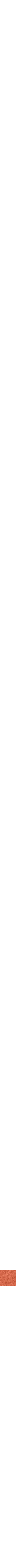 Orange brûlé - Brique