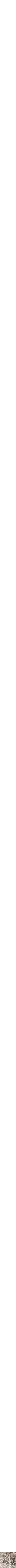 Assorti