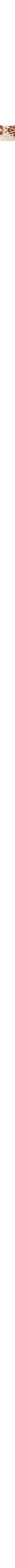Gris à motifs