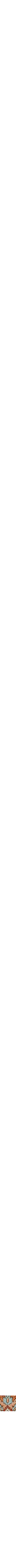 Orange à motifs
