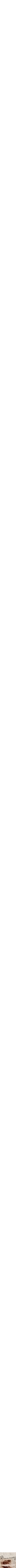 Assorti