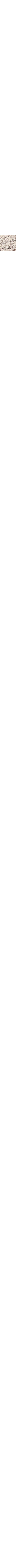 Patterned Ecru
