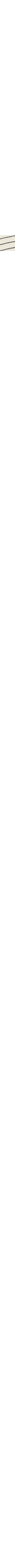 Patterned Ecru