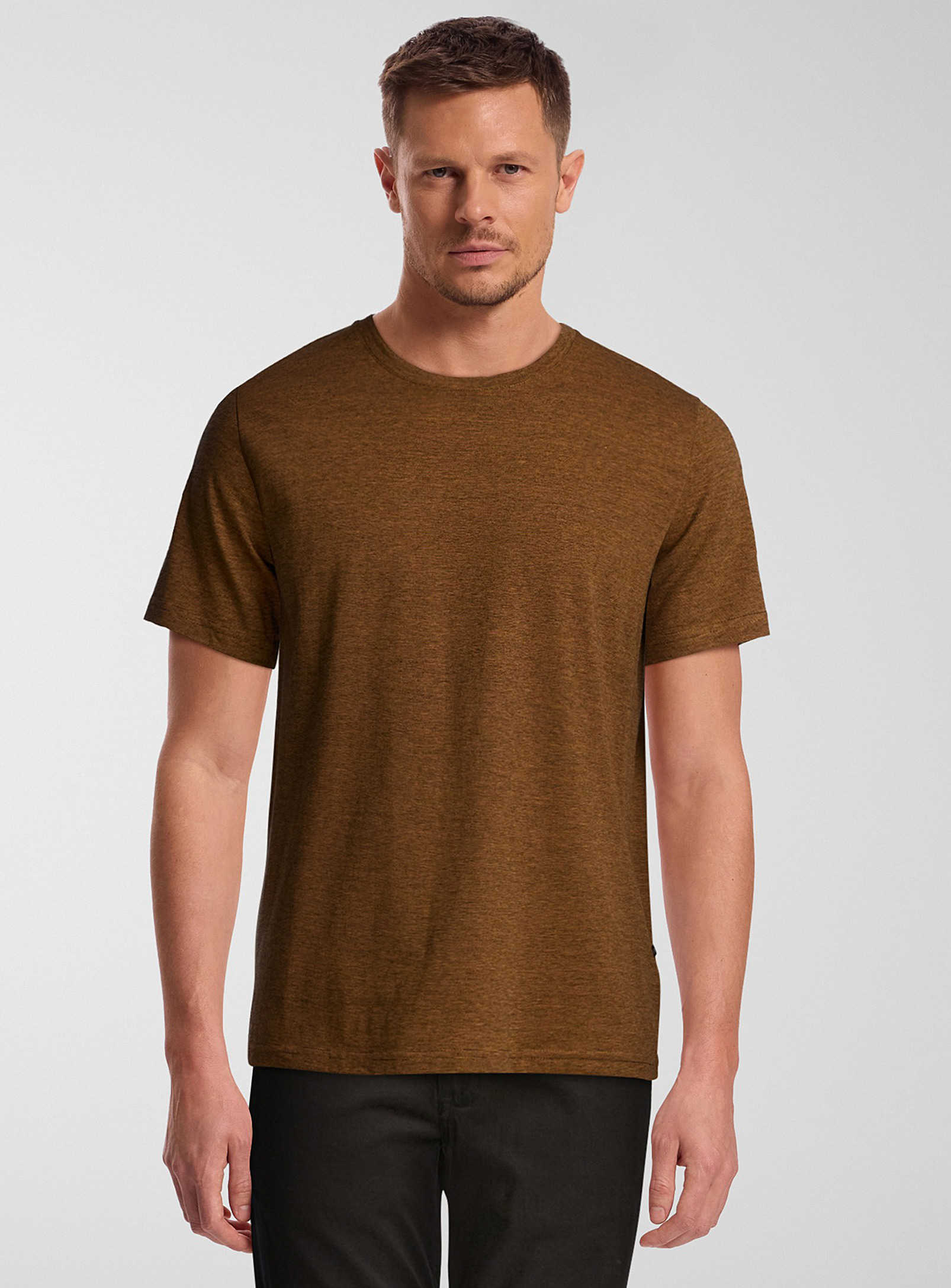 Matinique Optical Stripe T-shirt In Brown