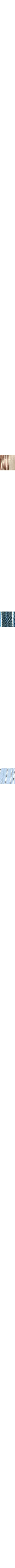 Brun à motifs