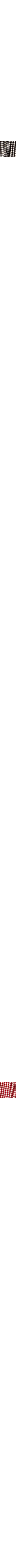 Noir à motifs