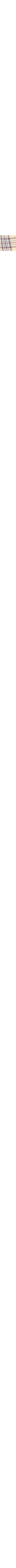 Écru à motifs