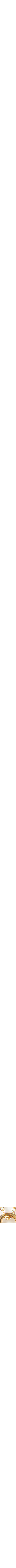 Assorti