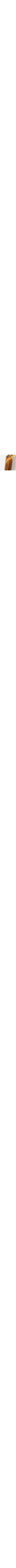 Brun à motifs
