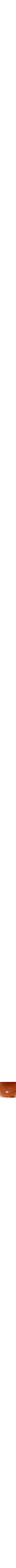 Rouge à motifs