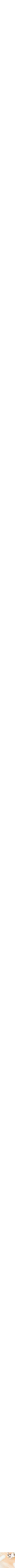 Assorti